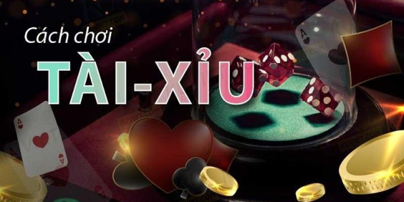 Cao thủ chia sẻ bí kíp chơi tài xỉu online